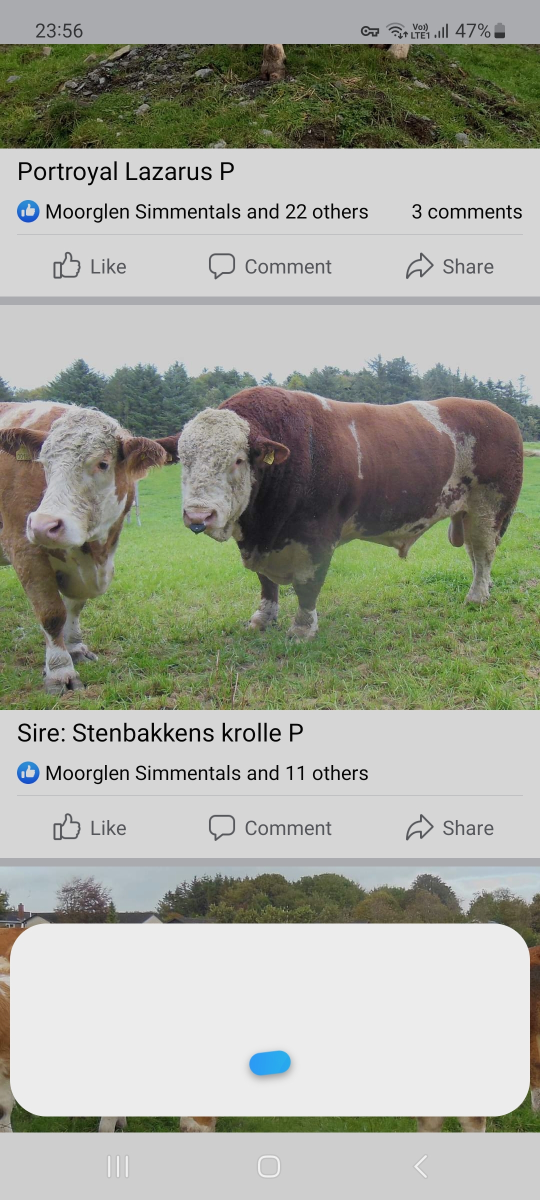 Sire used.