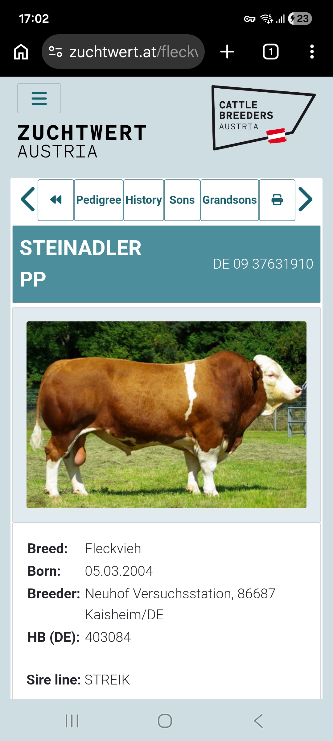 Sire used on maiden heifers this year.